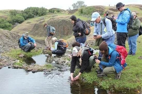CalNat lead scientist