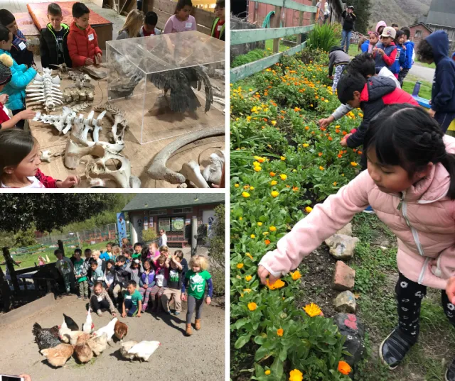 Our Ranch Tours focus on experiential learning about animals and the environment.