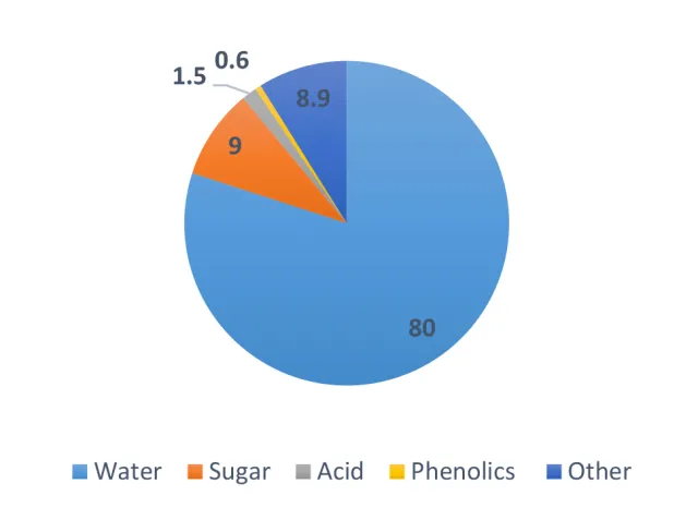 Pie chart showing composition of blue elderberry: water (80%), sugar (9%), acid (1.5%), phenolics (0.6%), and other (8.9%)