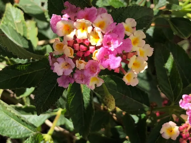 Photo by Ardis Neilsen