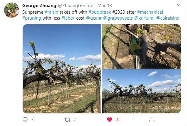 From https://twitter.com/ZhuangGeorge