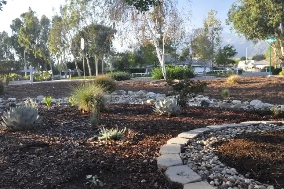 Vikki's Water-Wise Moonlight Garden