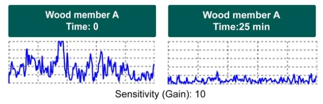 Figure 5: Termatrac's output measured at two different times (25 min apart). This structural wood member contained 47 live termites.