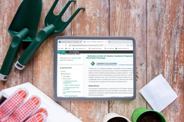 Tablet on table visiting a website for online learning, surrounded by garden tools and flowers.