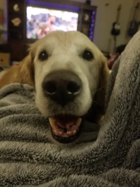 Niamh Quinn's assistant Jake solves urban human conflicts..