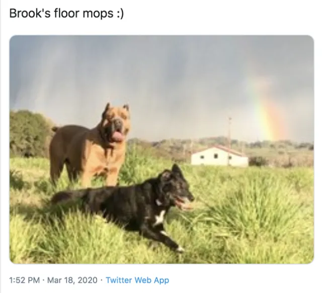 Brook Gamble's CalNat home team