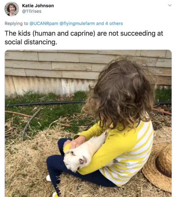 Katie Johnson shares her home office with her kids.