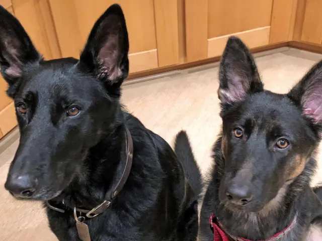 Michelle Hammer Coffer's assistants are ready to serve.