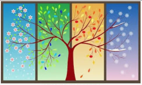 Screen Shot 2020-04-06 at 3.05.10 PM