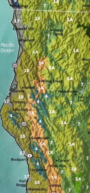 Image from The New Sunset Western Garden Book