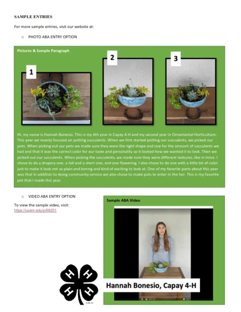 Virtual Showcase ABA Sample Entry