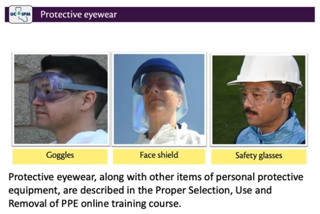 protective eyewear