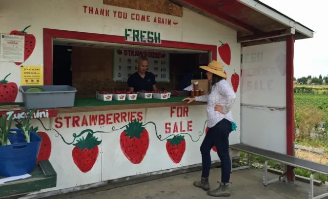 San Joaquin Valley strawberry stands are expected to be open by April 10.