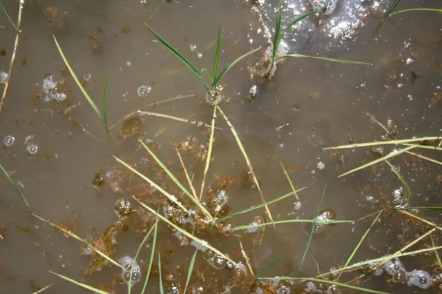 56E3771F-D6DE-4E78-A38C-C24E94BBCB8E