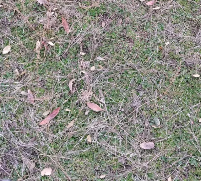 Feb 2020-range condition