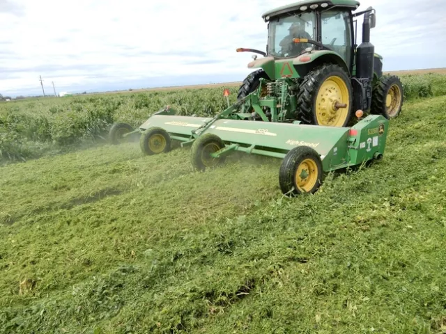 Cover crop shredding at Teixeira & Sons in Firebaugh on April 4, 2020.