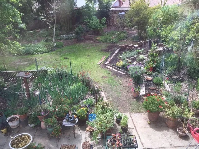 After expanding veggie area 2020