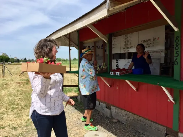 Farm stands, like this strawberry stand in Sacramento County, must now practice social distancing and heightened disinfecting procedures.