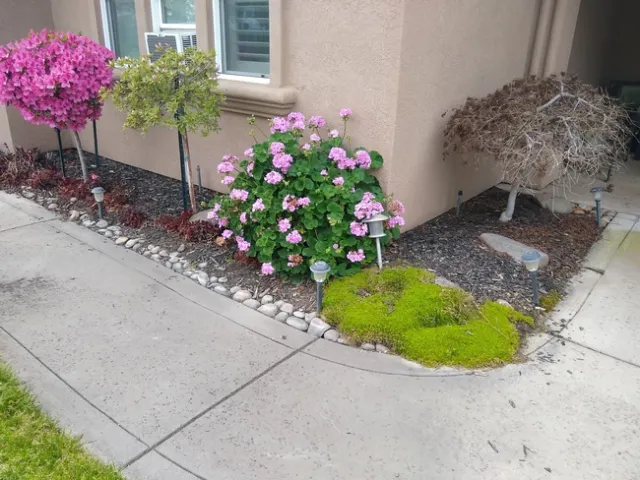 Some plants look great, others not so much