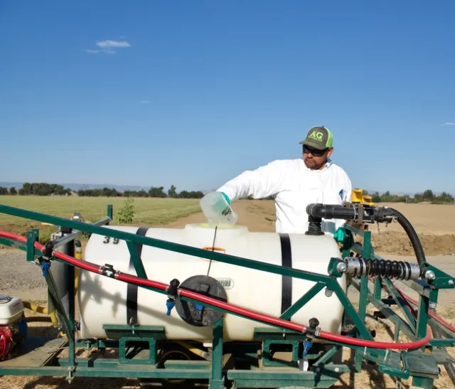 Protective eyewear should always be worn in California when handling pesticides. Photo by Katrina Hunter