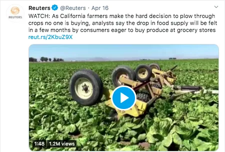 While packing plants retool to pack salad for retail instead of bulk for restaurants and institutions, some fresh produce was plowed under.
