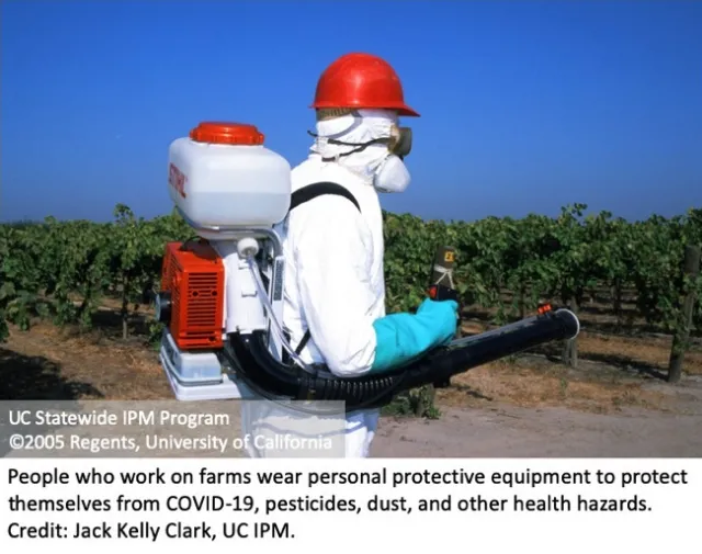 Person in full PPE in vineyard.