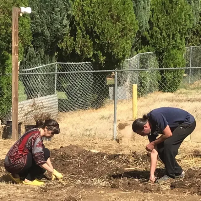 Jillian and Adam Picture 6 Gardening