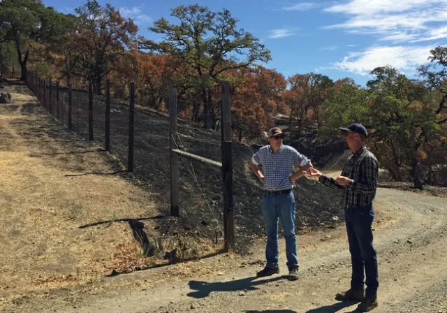 John Bailey, right, director of the UC Hopland Research and Extension, speaks with UC ANR vice provost Mark Lagrimini where fire impact was evident shortly after the River Fire.The pasture on the left of the fence was grazed, the area on the right was not grazed.