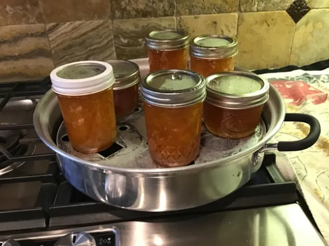 Hot jars just finished processing in the steam canner