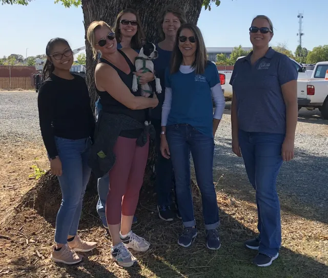 Screen Shot 2020-05-05 at 3.30.52 PM