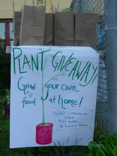 Tomato Give Way Sign