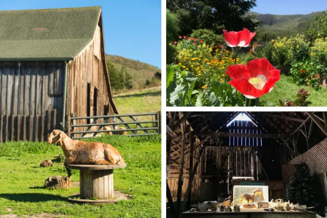 Guided tours are available at our beautiful ranch.