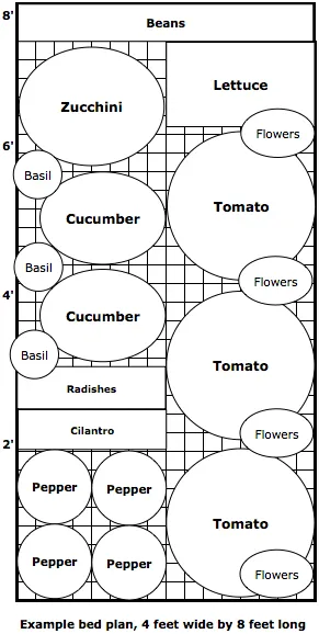An 8-foot by 4-foot garden vegetable bed plan illustrating how many different vegetables can be grown in the space