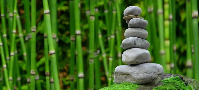 Learning about gardening may help make your life feel more balanced.(Pixabay)