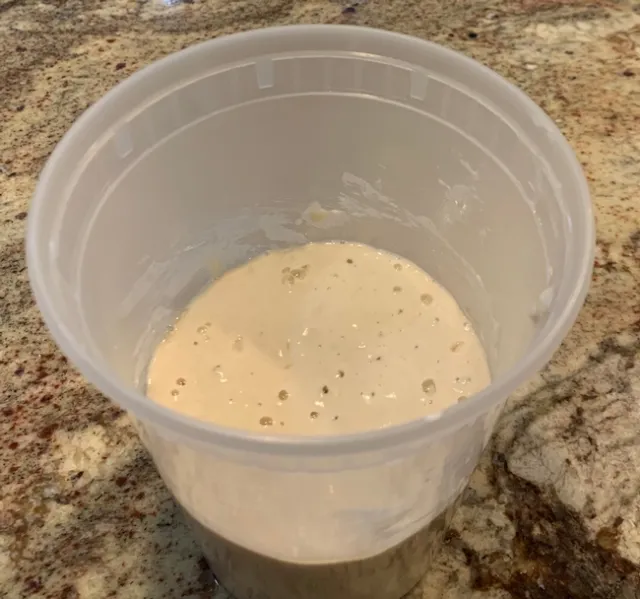 Bubbles starting to appear in starter