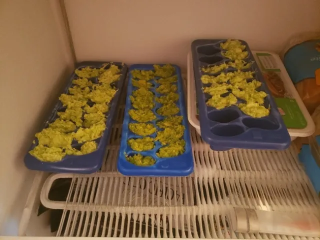 Freezing filled trays