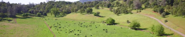 Embedded drone video