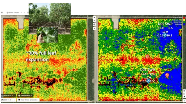 Lemoore Saline CERES 2