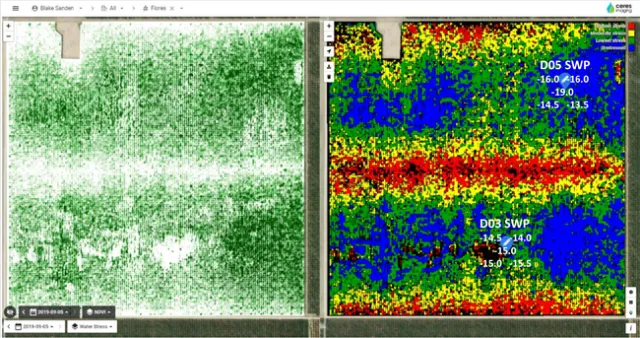 Lemoore Saline CERES