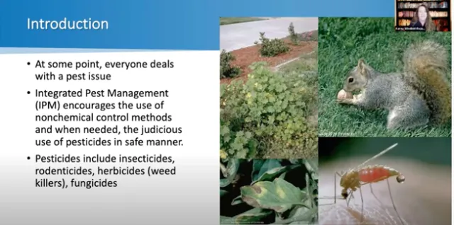 Karey Windbiel-Rojas shared ideas on how we can all help protect the environment through careful management of urban pest management.