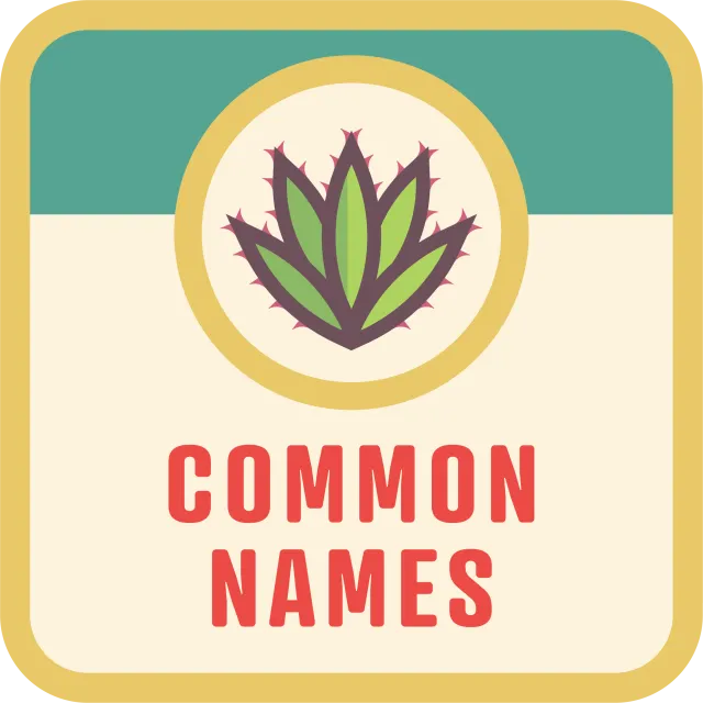 Common Names