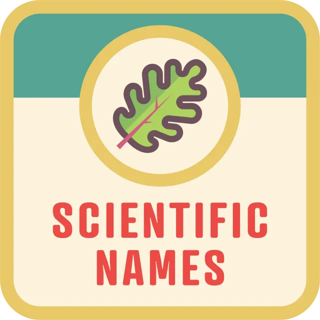 Scientific Names