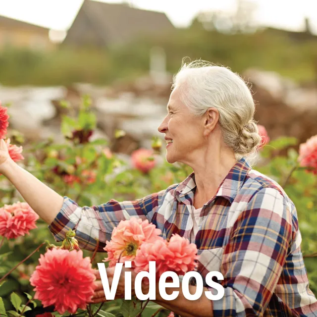 Videos wellness_web_button-01