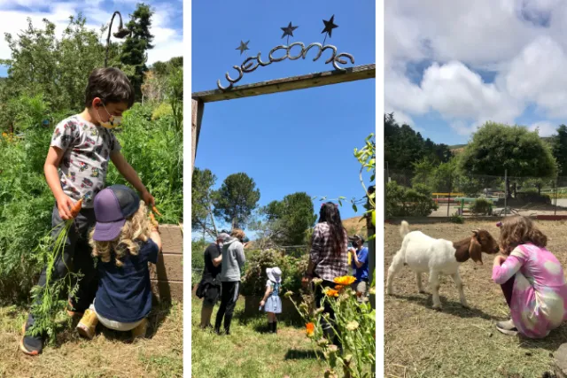 Families with children of all ages have already visited us for a private family tour. Book yours today!