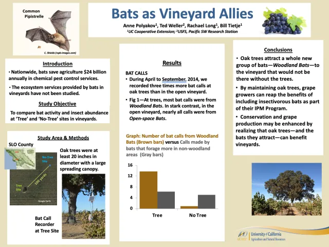 Screen Shot 2020-06-16 at 6.20.34 PM