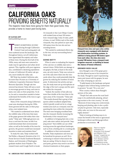 Screen Shot 2020-06-16 at 6.29.54 PM