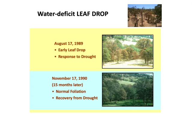 Screen Shot 2020-06-17 at 1.34.35 PM