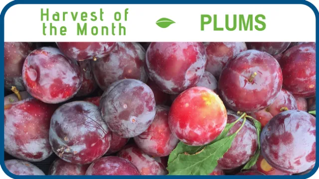 Plums
