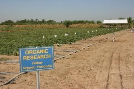 A needs assessment for organic agriculture research and extension is underway.