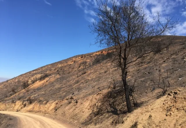 While the UCCE team developed the fire workshop curriculum, the Mendocino Complex Fire burned two-thirds of the Hopland REC in 2018.